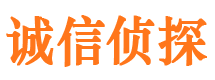 莱西寻人公司